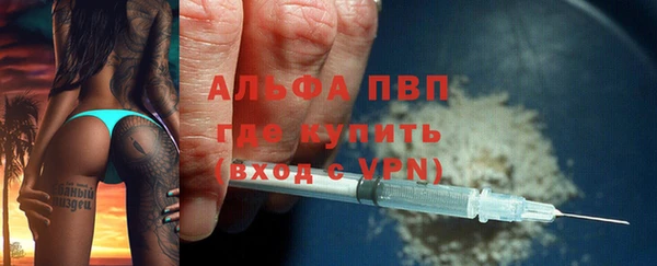 индика Вяземский